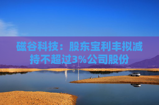磁谷科技：股东宝利丰拟减持不超过3%公司股份