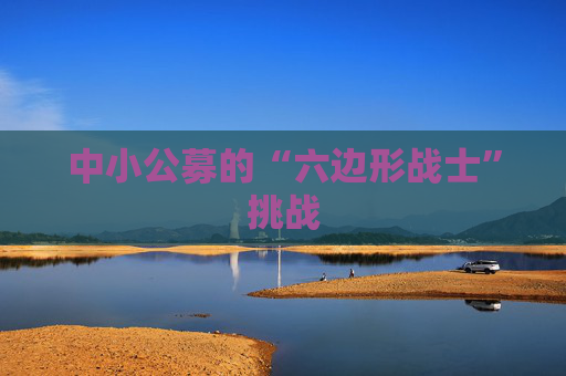 中小公募的“六边形战士”挑战