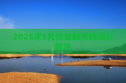 2025年5月份金融市场运行情况