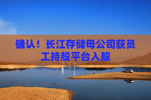 确认！长江存储母公司获员工持股平台入股