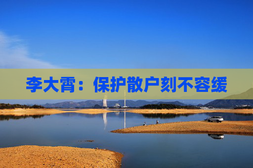 4480yy在线A片无码 李大霄：保护散户刻不容缓  第1张