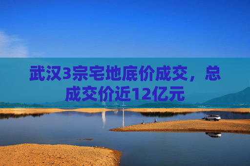武汉3宗宅地底价成交，总成交价近12亿元