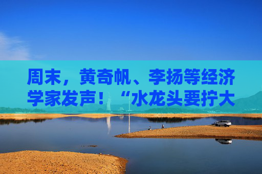 周末，黄奇帆、李扬等经济学家发声！“水龙头要拧大，输水管要畅通”