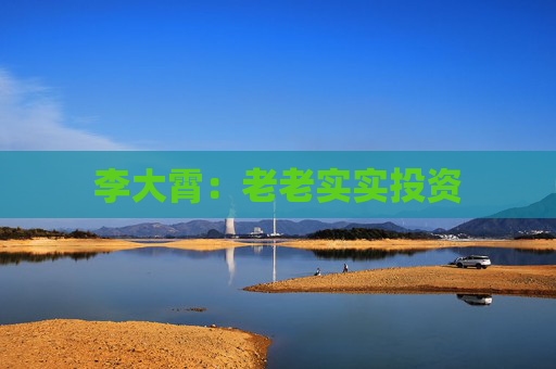 李大霄：老老实实投资