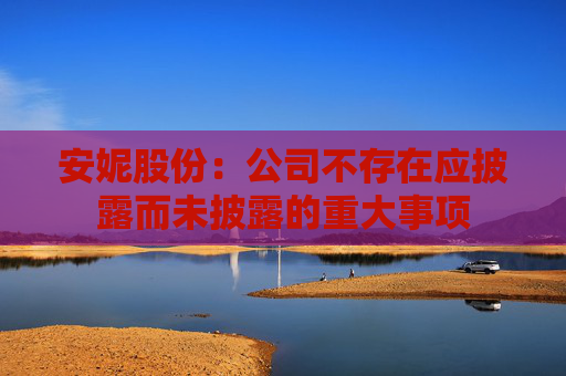 安妮股份：公司不存在应披露而未披露的重大事项
