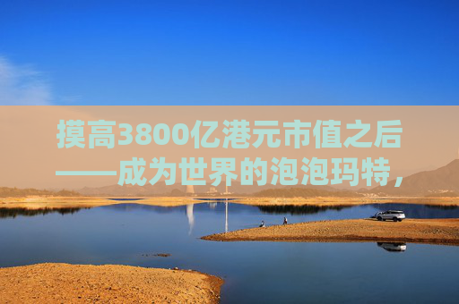 摸高3800亿港元市值之后——成为世界的泡泡玛特，王宁下一个LABUBU在哪里