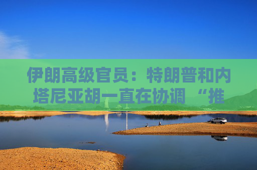 伊朗高级官员：特朗普和内塔尼亚胡一直在协调 “推进共同计划”