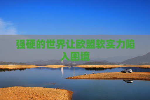 4480yy在线A片无码 强硬的世界让欧盟软实力陷入困境  第1张