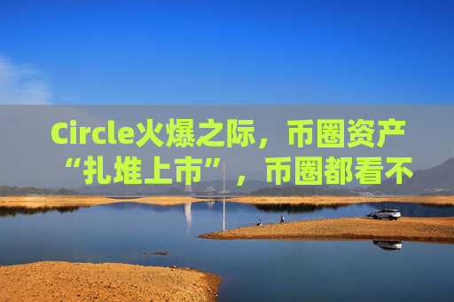 Circle火爆之际，币圈资产“扎堆上市”，币圈都看不懂股市的热情