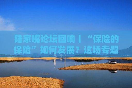 陆家嘴论坛回响丨“保险的保险”如何发展？这场专题会说透了！