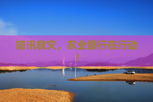 防汛救灾，农业银行在行动！