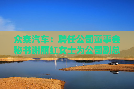 众泰汽车：聘任公司董事会秘书谢丽红女士为公司副总裁