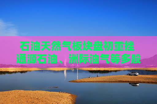 石油天然气板块盘初重挫 通源石油、洲际油气等多股跌停