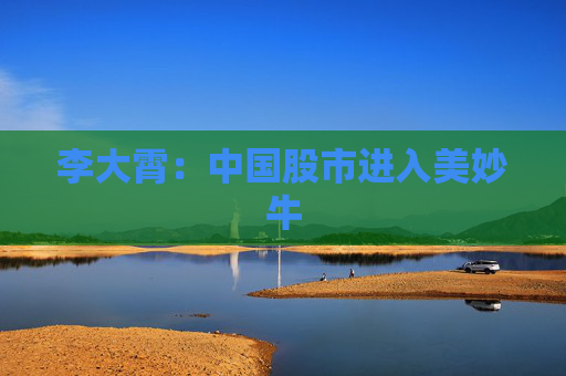 李大霄：中国股市进入美妙牛
