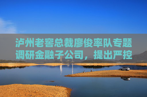 泸州老窖总裁廖俊率队专题调研金融子公司，提出严控流动性风险