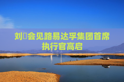 刘珺会见路易达孚集团首席执行官高启