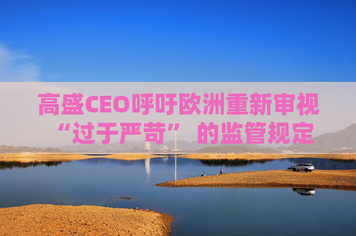 高盛CEO呼吁欧洲重新审视 “过于严苛” 的监管规定