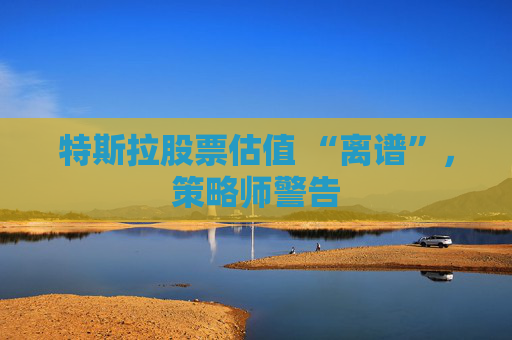 特斯拉股票估值 “离谱”，策略师警告