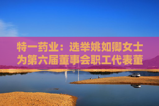 特一药业：选举姚如卿女士为第六届董事会职工代表董事