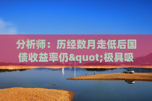 分析师：历经数月走低后国债收益率仍"极具吸引力"