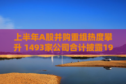 上半年A股并购重组热度攀升 1493家公司合计披露1984单计划