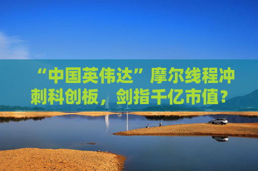 “中国英伟达”摩尔线程冲刺科创板，剑指千亿市值？