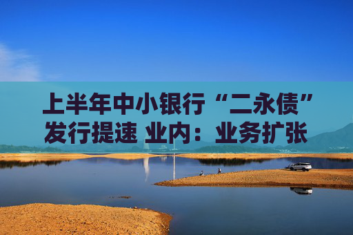 上半年中小银行“二永债”发行提速 业内：业务扩张需求促使其积极补充资本