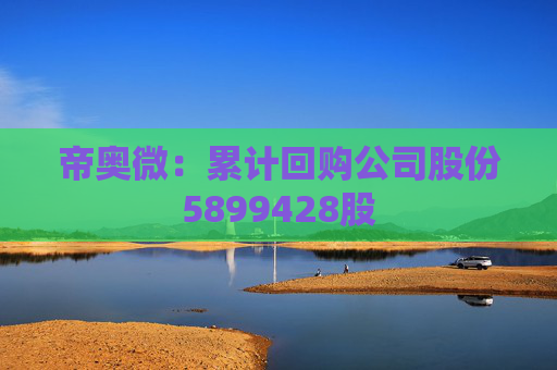 帝奥微：累计回购公司股份5899428股