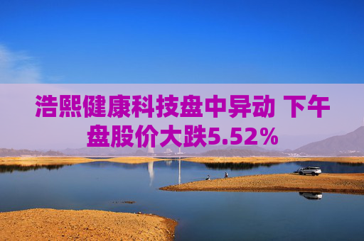 浩熙健康科技盘中异动 下午盘股价大跌5.52%