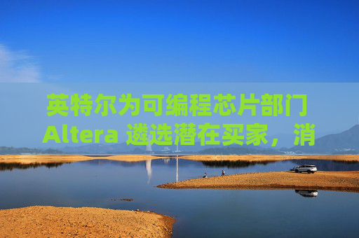 英特尔为可编程芯片部门 Altera 遴选潜在买家，消息称已进入下一轮竞标