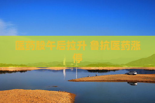 医药股午后拉升 鲁抗医药涨停