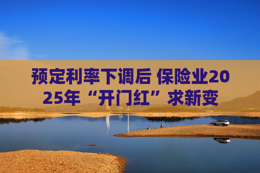 预定利率下调后 保险业2025年“开门红”求新变