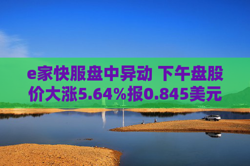 e家快服盘中异动 下午盘股价大涨5.64%报0.845美元
