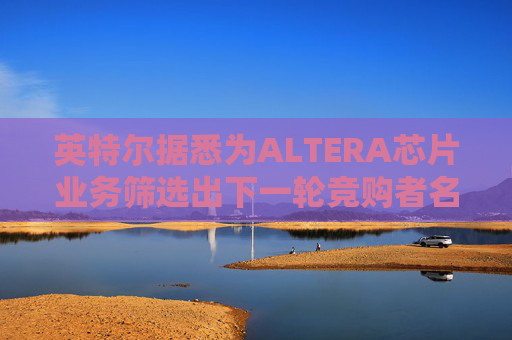 英特尔据悉为ALTERA芯片业务筛选出下一轮竞购者名单
