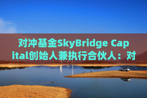 对冲基金SkyBridge Capital创始人兼执行合伙人：对MicroStrategy债务的担忧被夸大了