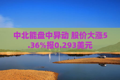 中北能盘中异动 股价大涨5.36%报0.293美元