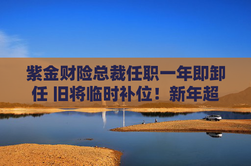 紫金财险总裁任职一年即卸任 旧将临时补位！新年超越市场如何实现？
