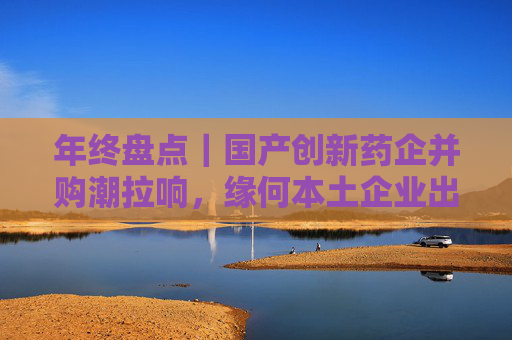 年终盘点｜国产创新药企并购潮拉响，缘何本土企业出手少