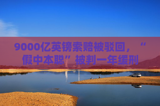 9000亿英镑索赔被驳回，“假中本聪”被判一年缓刑