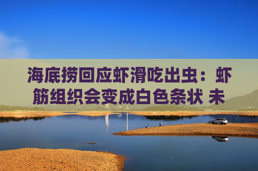 海底捞回应虾滑吃出虫：虾筋组织会变成白色条状 未发现食品安全问题  第1张