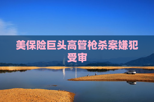美保险巨头高管枪杀案嫌犯受审