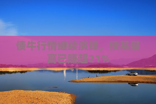 债牛行情继续演绎，债基最高已赚超21%