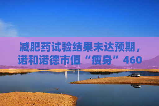 减肥药试验结果未达预期，诺和诺德市值“瘦身”4600亿元 分析师：卷减重不如卷这些方向