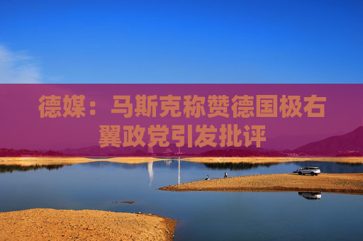 德媒：马斯克称赞德国极右翼政党引发批评