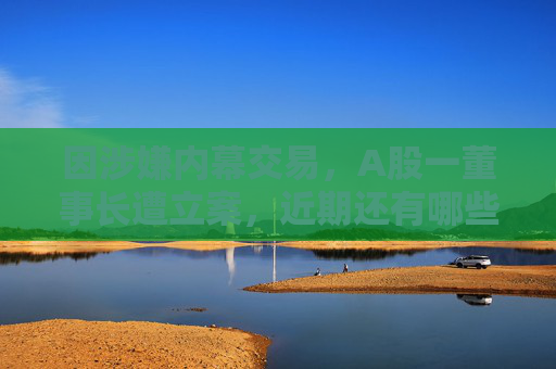 因涉嫌内幕交易，A股一董事长遭立案，近期还有哪些上市公司高管被调查？