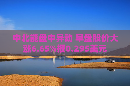 中北能盘中异动 早盘股价大涨6.65%报0.295美元