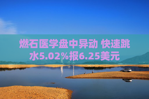 燃石医学盘中异动 快速跳水5.02%报6.25美元