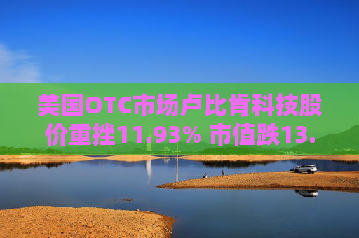 美国OTC市场卢比肯科技股价重挫11.93% 市值跌13.78万美元