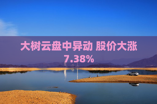 大树云盘中异动 股价大涨7.38%