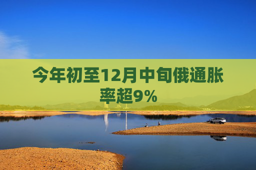 今年初至12月中旬俄通胀率超9%